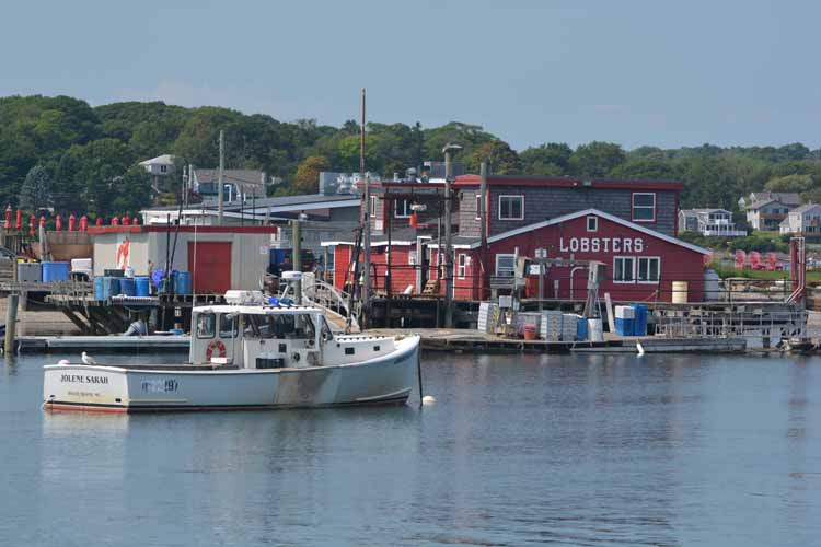 lobster warehouse and restaurant